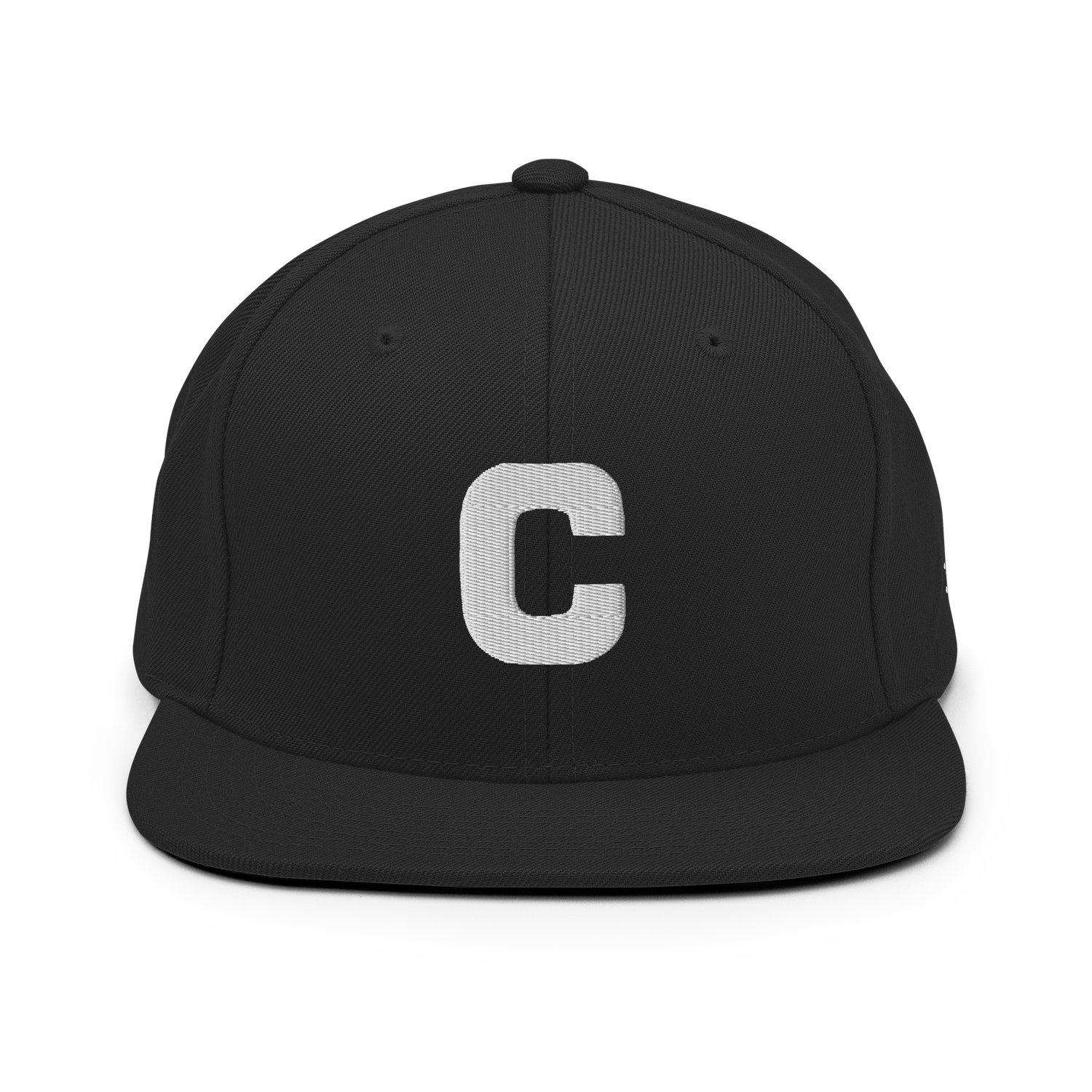 Copenhagen Snapback