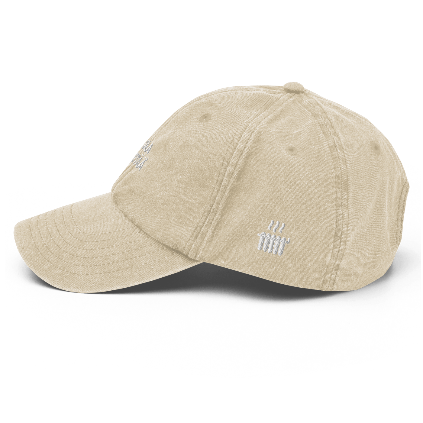 EI SAA PEITTÄÄ - Vintage Hat - Vintage Stone - - Just Another Cap Store