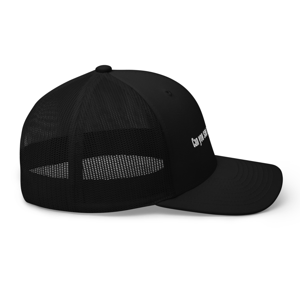 Can you see my screen now? Trucker Cap - Black - - Just Another Cap Store
