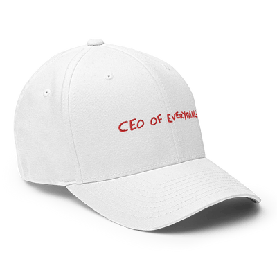 CEO of everything Flexfit cap - White - S/M - Just Another Cap Store
